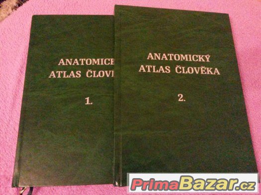 Netterův anatomický atlas člověka - Frank H. Netter