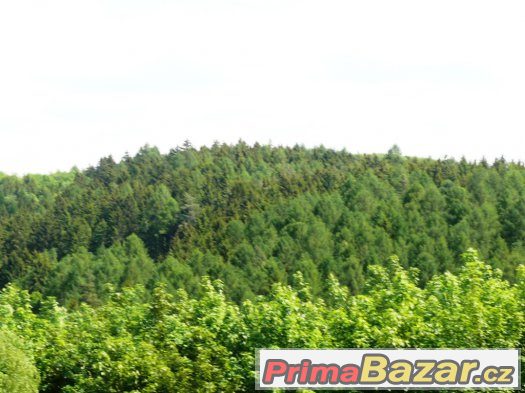 2 krásné lesní parcely v Mnichovicích u Prahy