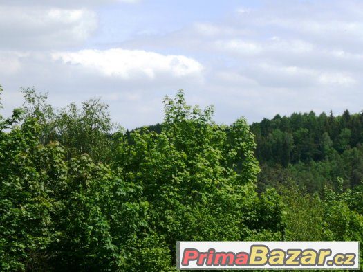 2 krásné lesní parcely v Mnichovicích u Prahy