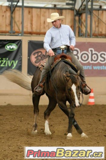 Připouštení Quarter Horse hřebcem A JAC O RIMA Připouštení Quarter Horse hřebcem A JAC O RIMA