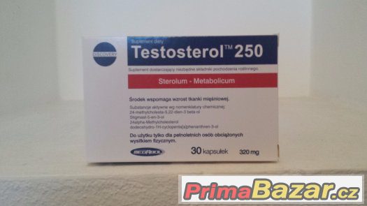 Gainer,kreatin,testosterol.