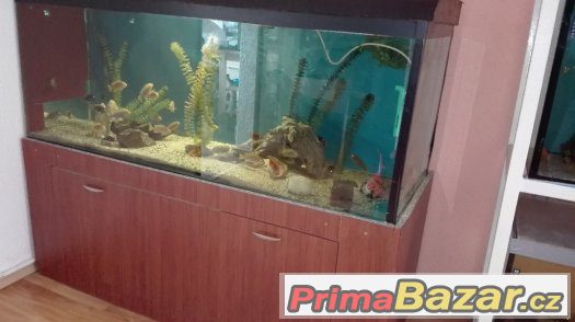 Akvarium 570 L levně Akvarium 570 L levně