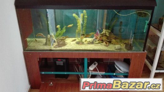 Akvarium 570 L levně Akvarium 570 L levně