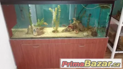 Akvarium 570 L levně