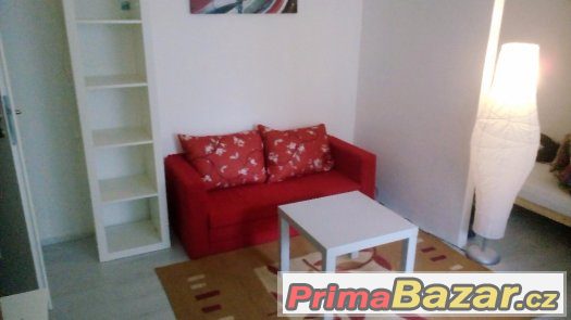 pronájem 1+1 se zahradou od majitele, Praha 10, Malešice pronájem 1+1 se zahradou od majitele, Praha 10, Malešice