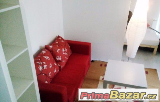 pronájem 1+1 se zahradou od majitele, Praha 10, Malešice pronájem 1+1 se zahradou od majitele, Praha 10, Malešice