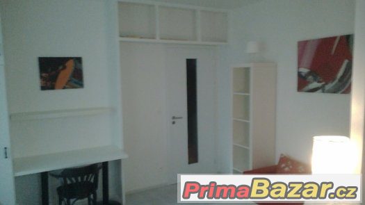 pronájem 1+1 se zahradou od majitele, Praha 10, Malešice pronájem 1+1 se zahradou od majitele, Praha 10, Malešice