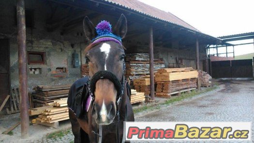 Nabízím ručně pletené kulíšky pro koně a jezdce Nabízím ručně pletené kulíšky pro koně a jezdce