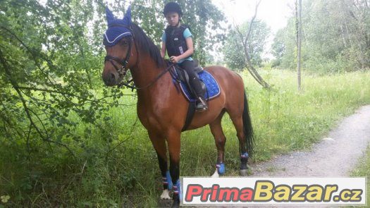 Příměstský tábor Jezdecký Klub Fidorka z.s. Příměstský tábor Jezdecký Klub Fidorka z.s.