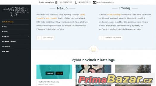 Nadčasový responzivní web všech kategorií