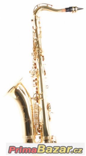 Prodám Tenor saxofón C.Giant - celý set