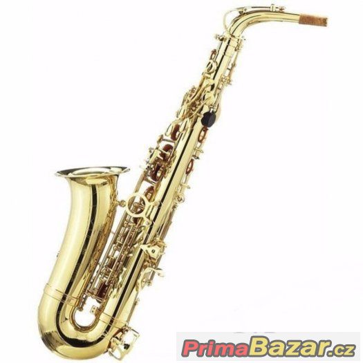 Prodám Alt saxofón Startone / C.Giant - celý set