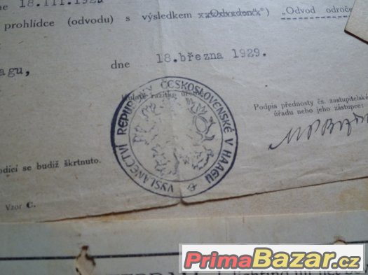 Vysvědčení, rozhodnutí rozsudek 1907. Hořice, Bernartice Tru Vysvědčení, rozhodnutí rozsudek 1907. Hořice, Bernartice Tru