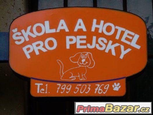 DEN PRO PEJSKY