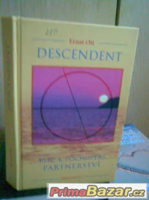 DESCENDENT - KLIČ K POCHOPENÍ PARTNERSTVÍ
