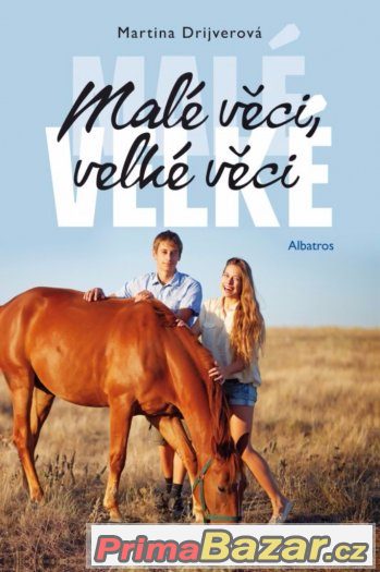 male-veci-velke-veci