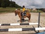 Valach pony