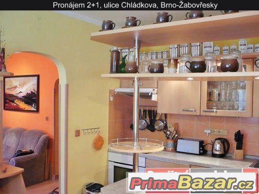 Pronájem 2+1, ulice Chládkova, Brno-Žabovřesky Pronájem 2+1, ulice Chládkova, Brno-Žabovřesky