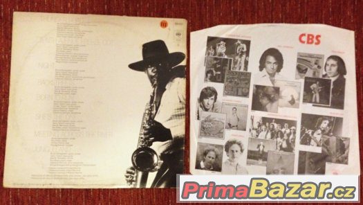 vinylové LP Bruce Springsteen - Born to run (1975