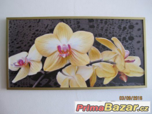 Prodám moderní obraz - žluté orchideje - levně