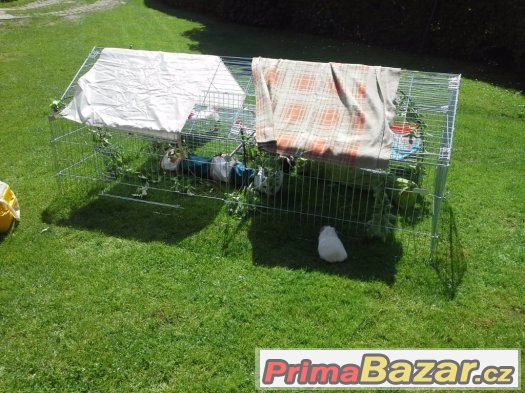 azyl-a-hotel-pro-morcata-a-jine-hlodavce-okres-novy-jicin