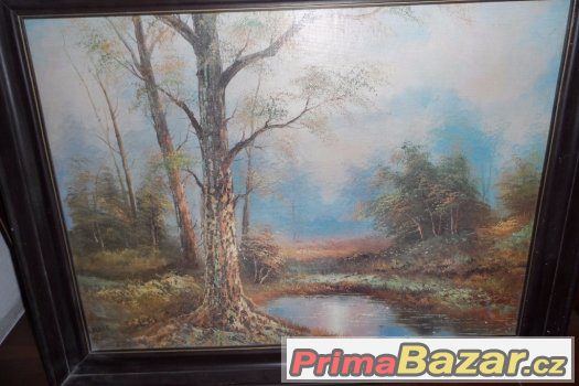 obraz 55x72 x 4