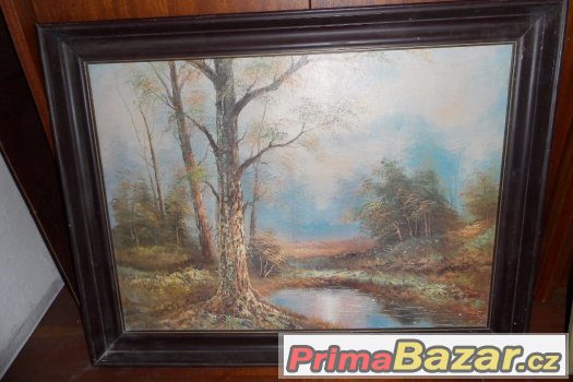 obraz 55x72 x 4