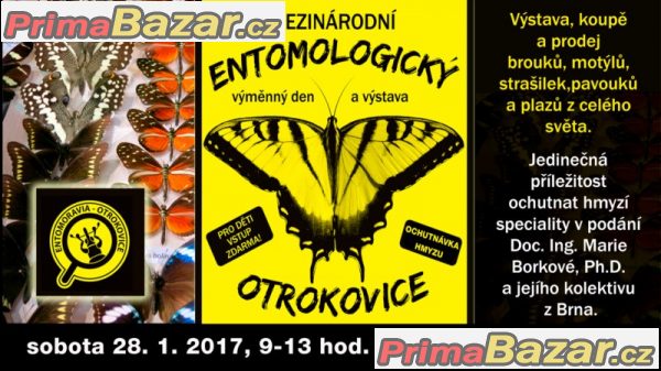 Entomologická výstava v OTROKOVICÍCH.