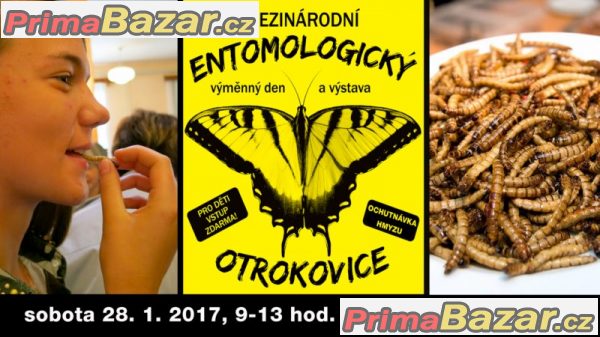 Entomologická výstava v OTROKOVICÍCH.