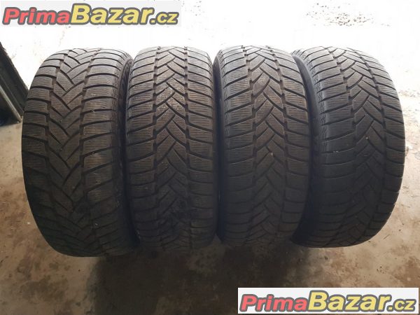 4xpneu Dunlop WT M3 225/50 r19