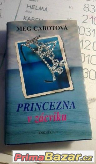 Princezna v zácviku - Meg Cabot