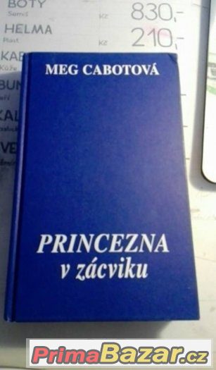 Princezna v zácviku - Meg Cabot Princezna v zácviku - Meg Cabot