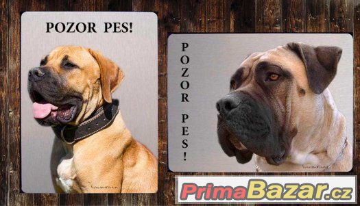 luxusni-hlinikova-tabulka-pozor-pes-boerboel-bursky-buldok
