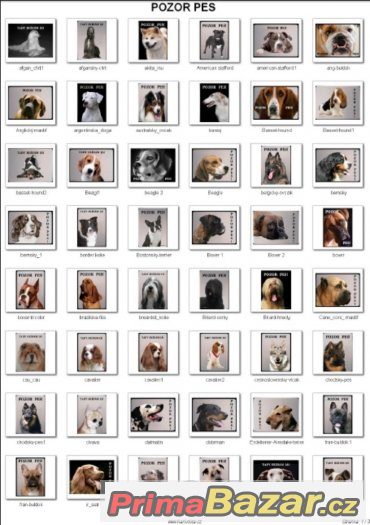 Luxusní hliníková tabulka POZOR PES BOERBOEL, Búrský buldok Luxusní hliníková tabulka POZOR PES BOERBOEL, Búrský buldok