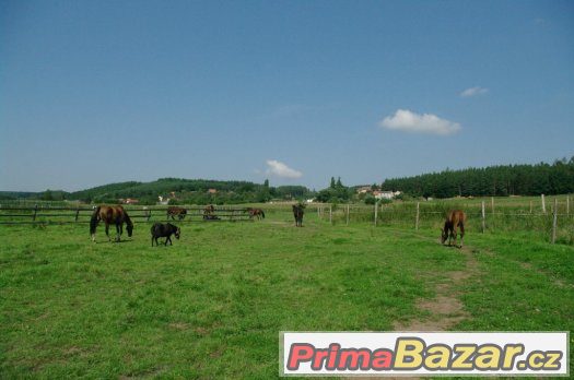Boxové ustájení Boxové ustájení