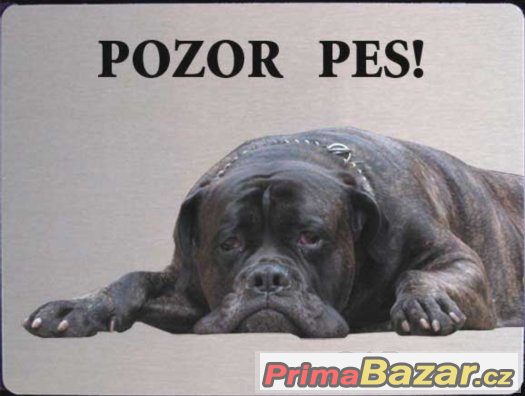 Luxusní hliníková tabulka POZOR PES Bulmastif Bullmastiff