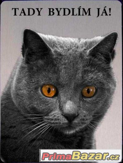 Luxusní hliníková tabulka TADY BYDLÍM JÁ Kartouzská kočka