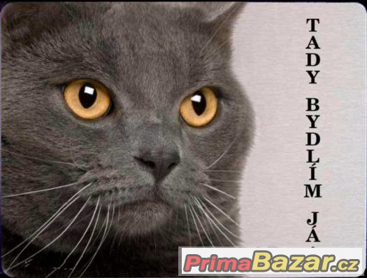 Luxusní hliníková tabulka TADY BYDLÍM JÁ Kartouzská kočka