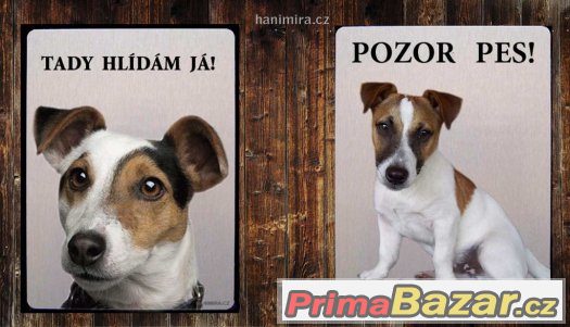 Luxusní hliníková tabulka POZOR PES JACK RUSSEL TERIÉR