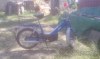 koupim-babetta-stella-jawa-550-555