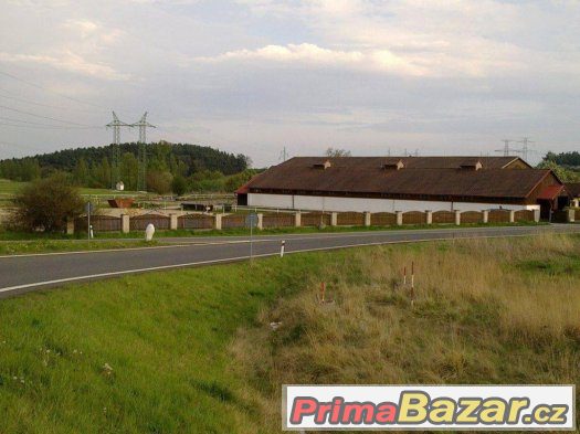 Kvalitní ustájení s halou, jízdárnou, výběhy – fotografie 4
