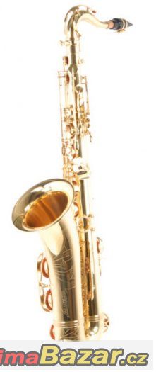 Prodám Tenor saxofón C.Giant - celý set