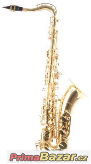 Prodám Tenor saxofón C.Giant - celý set