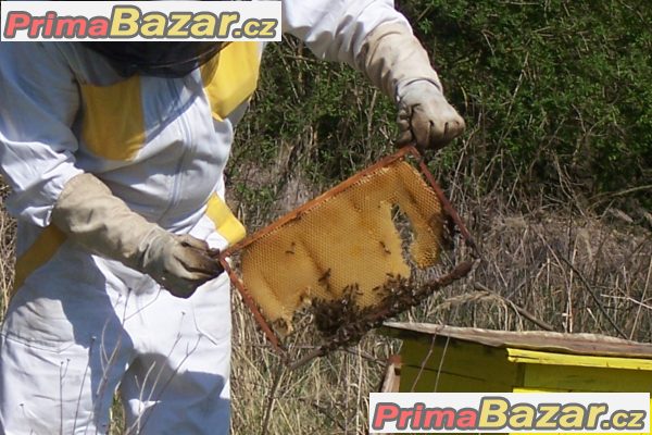 Kvalitní med přímo od včelaře