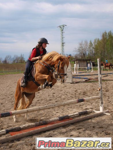 Hledáme nové členy pro náš PONY tým v Ostravě