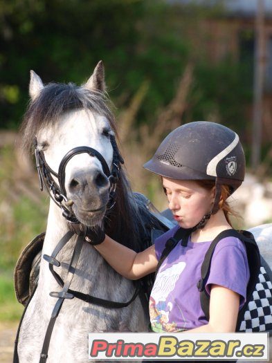 Hledáme nové členy pro náš PONY tým v Ostravě