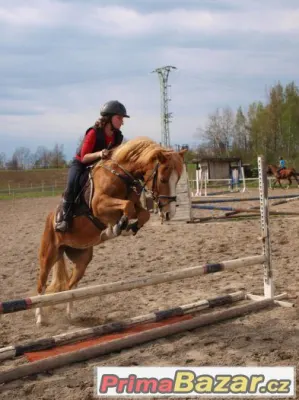 Hledáme nové členy pro náš PONY tým v Ostravě