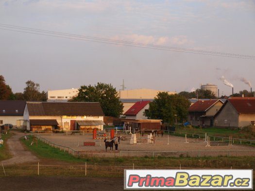 Nabízíme volné boxy k ustájení Nabízíme volné boxy k ustájení