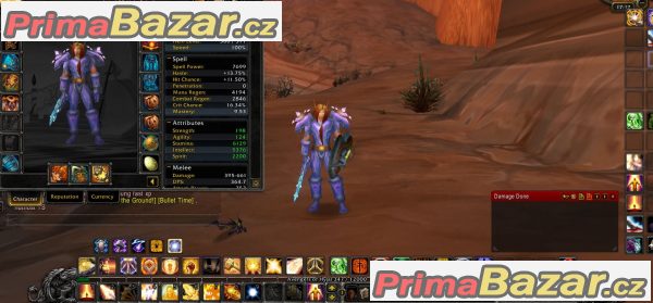 Twinstar - Artemis - 366 PVE Holy 366 PVE Prot BE Paladin