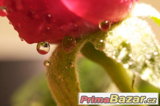 Manuální Makro Mezikroužky Kompatibilní S CANON Manuální Makro Mezikroužky Kompatibilní S CANON
